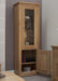 Torino 1 Door Glass Bookcase Bookcases GBH 