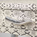 Faux Snake Leather 2 Drawer Console Table Console Table CIMC 